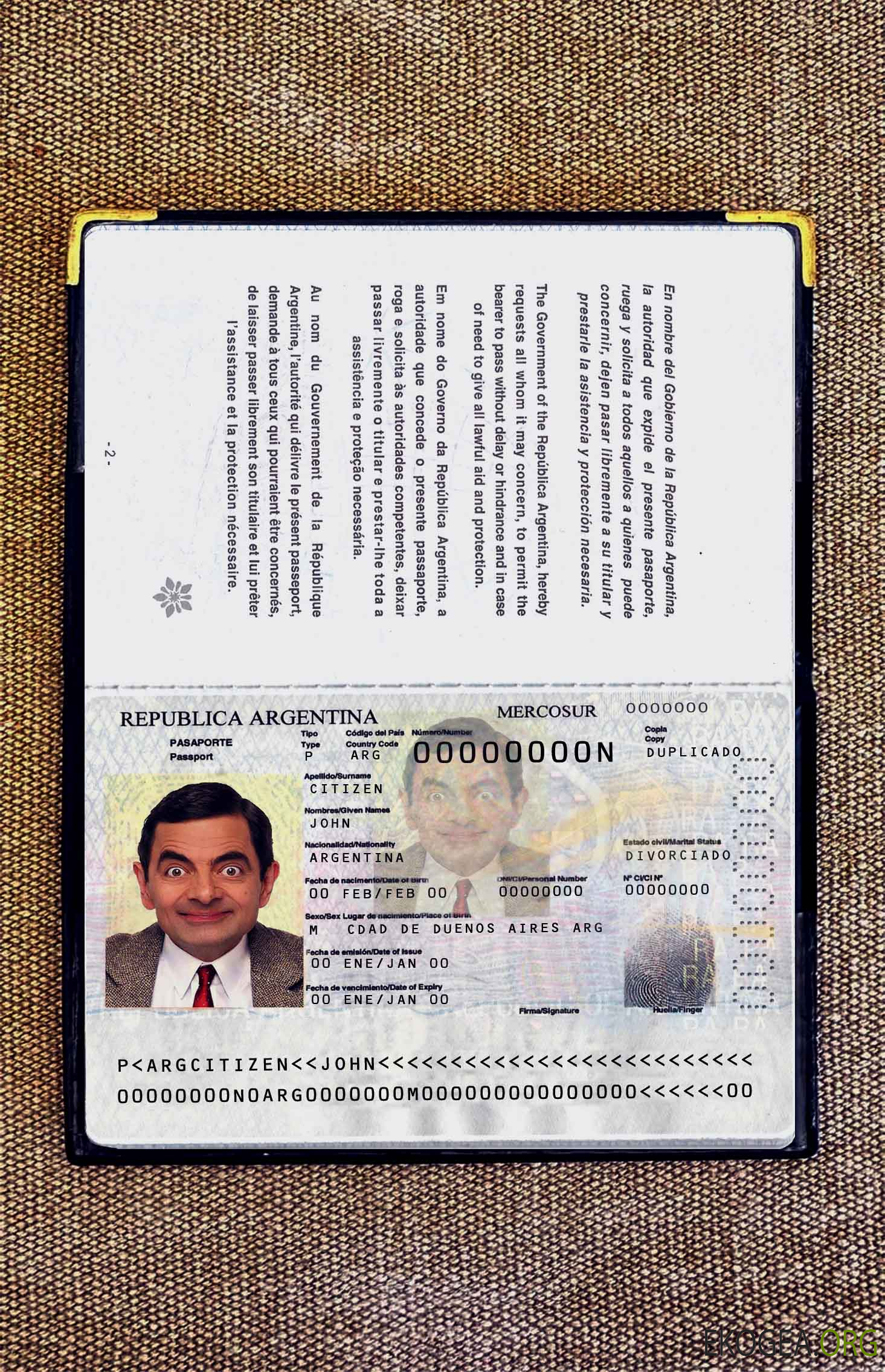Aperçu photo du passeport argentin 2012 présent